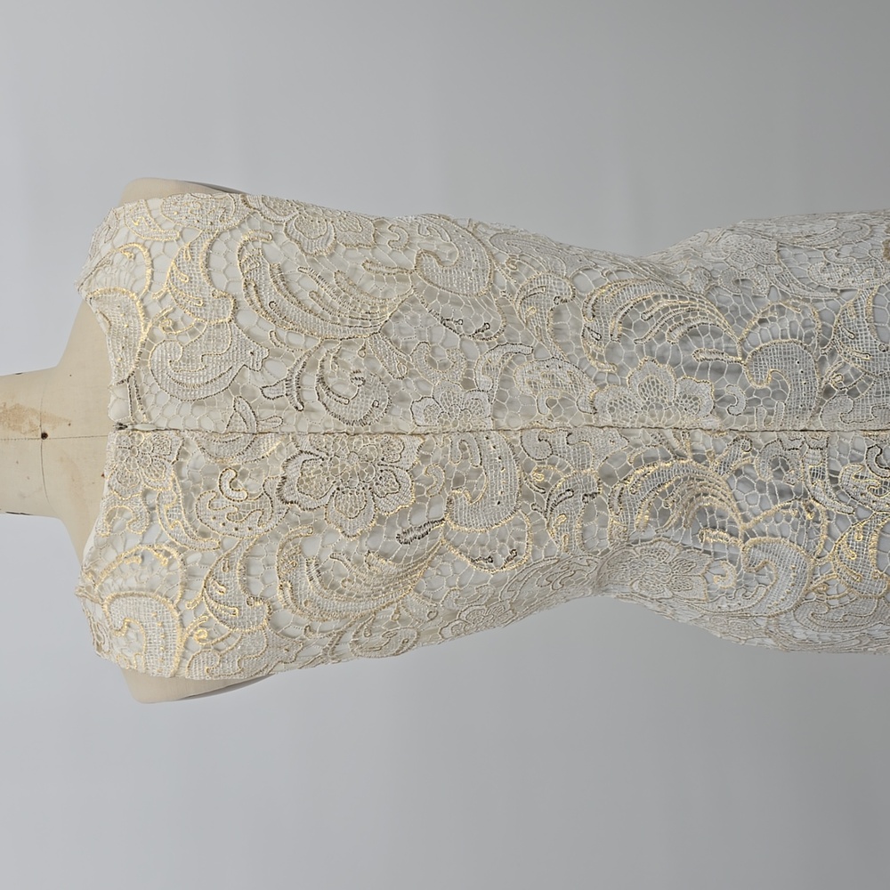 Alexia Admor Lace Sleeveless Ivory Cream Dress Size XL - Picture 5 of 9